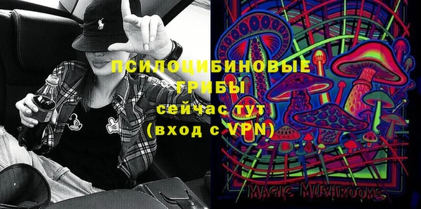 mdpv Гвардейск