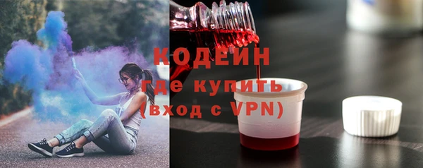 шишки Гатчина