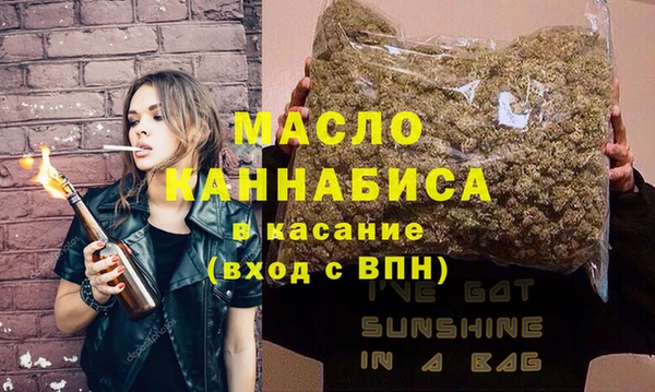 шишки Гатчина